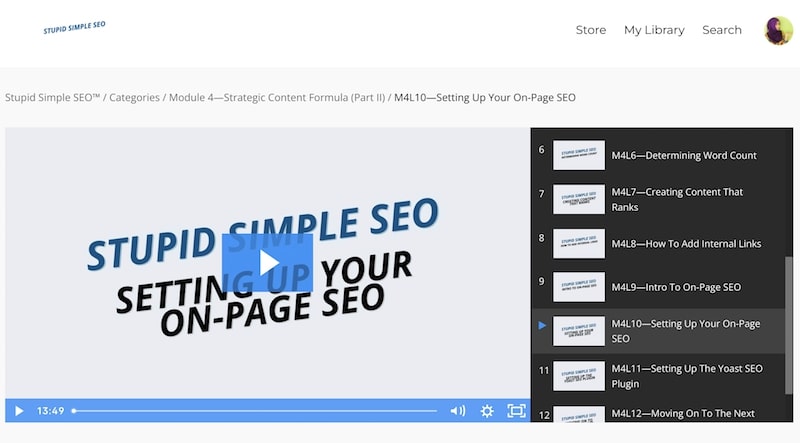 stupid simple seo review course